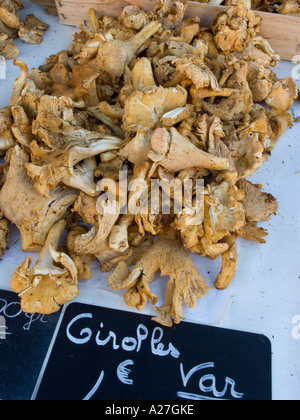 Finferli essiccati/Girolles funghi in vendita a Cours Saleya fiore e mercato ortofrutticolo a Nizza sulla Costa Azzurra, Francia Foto Stock