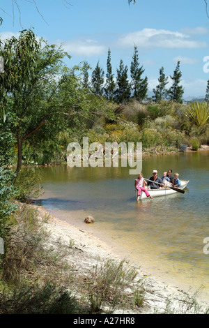 Helderberg vicino a Stellenbosch western cape South Africa RSA di canottaggio sul lago Foto Stock