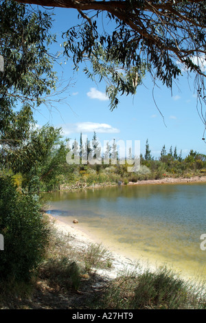 Helderberg vicino a Stellenbosch western cape South Africa lago RSA Foto Stock