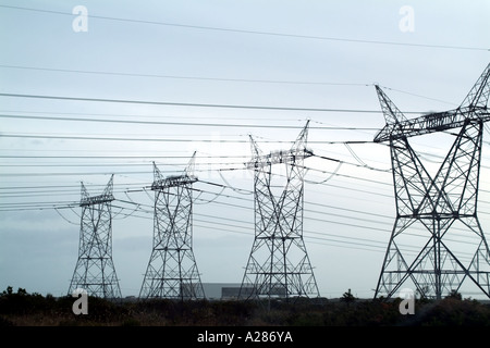 Elettricità tralicci delle linee di alimentazione dei fili di Western Cape South Africa RSA Foto Stock