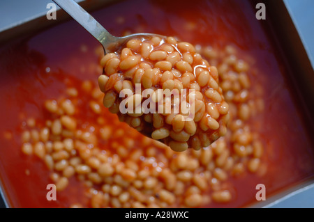 Una scodella di fagioli al forno per la nuova scuola di sano cene REGNO UNITO Foto Stock