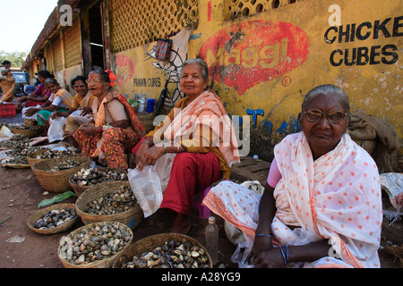 Commerciante di mercato la vendita di fresco pesce shell Mapusa city Goa in India Foto Stock