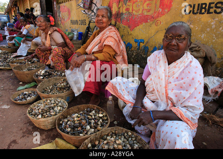 Commerciante di mercato la vendita di fresco pesce shell Mapusa city Goa in India Foto Stock