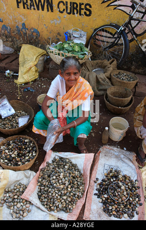 Commerciante di mercato la vendita di fresco pesce shell Mapusa city Goa in India Foto Stock