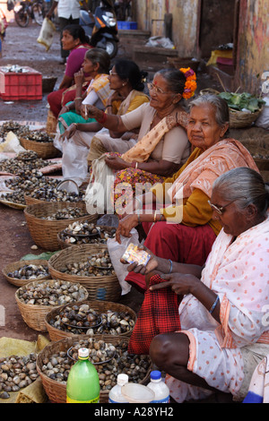 Commerciante di mercato la vendita di fresco pesce shell Mapusa city Goa in India Foto Stock