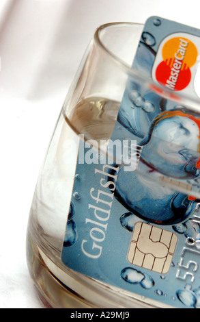 Generic goldfish carta di credito foto Foto Stock
