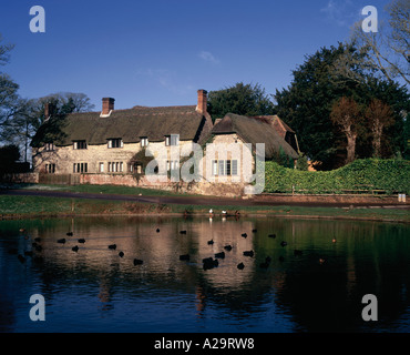 In pietra con il tetto di paglia costruito cottage in Dorset Foto Stock