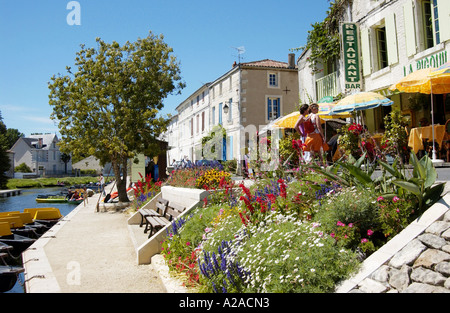 Coulon nel Marais Poitevin, Francia Foto Stock