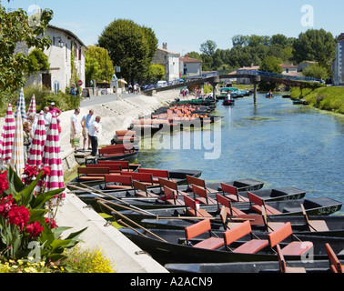 Il Marais Poitevan, Francia Foto Stock