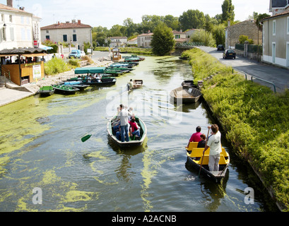 Coulon Marais Poitevan, Francia Foto Stock