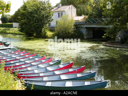 Coulon Marais Poitevan, Francia Foto Stock