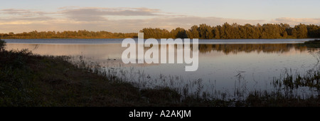 Fen Drayton Riserva Naturale in disuso per l'estrazione di ghiaia tramonto Foto Stock