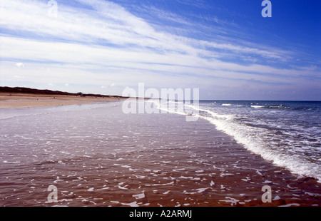 Ampia spiaggia aperta guardando verso brem sur mer a bretignolles sur mer vendee Francia numero 2396 Foto Stock