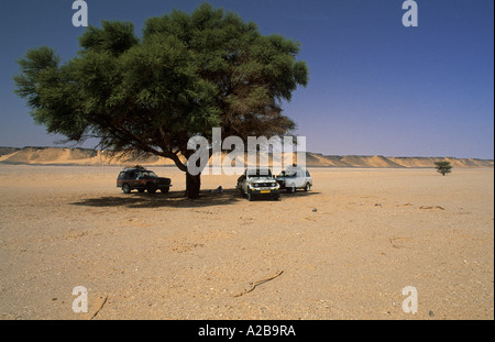 Pausa sotto un acacia in una vallata desertica di Jabal Bin Ghanimah, Libia Foto Stock
