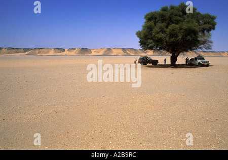 Pausa sotto un acacia in una vallata desertica di Jabal Bin Ghanimah, Libia Foto Stock