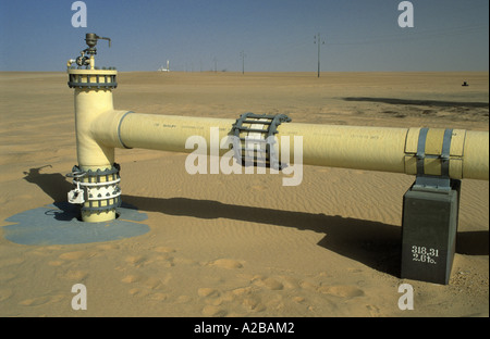 Una parte di un impianto di trattamento delle acque nel deserto libico, grande uomo Made River Project Foto Stock