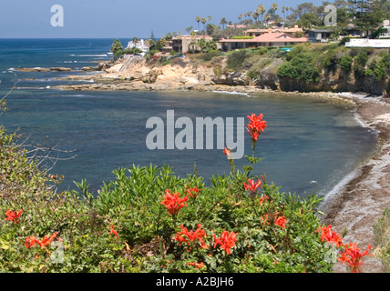 Ocean Cove, La Jolla CA Foto Stock