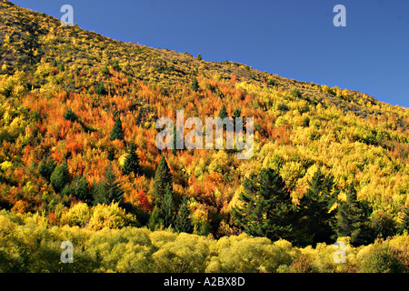 I colori autunnali da Arrowtown vicino a Queenstown Isola del Sud della Nuova Zelanda Foto Stock