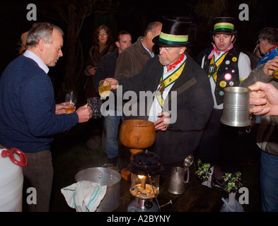 Wassailing: la benedizione di sidro meli in Inghilterra del sud. Foto da Jim Holden. Foto Stock