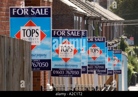 Agenti immobiliari in vendita le schede in Norwich, Norfolk, Regno Unito Foto Stock