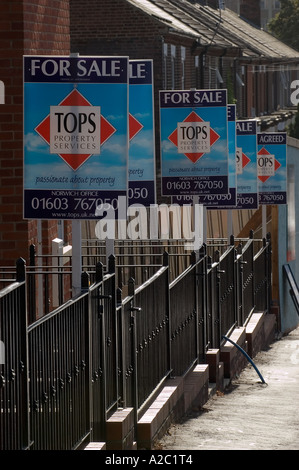 Agenti immobiliari in vendita le schede in Norwich, Norfolk, Regno Unito Foto Stock