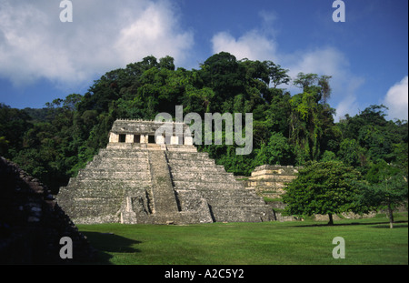 Il tempio Maya di iscrizioni in remoto la rovine di Palenque in Chiapas, Messico meridionale Foto Stock