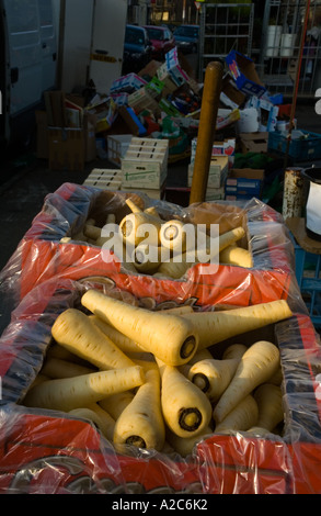 Inglese pastinaca al mercato in Newmarket England Regno Unito Foto Stock