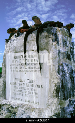 Iguane Marine(Amblyrhynchus cristatus) poggiante su un pilastro commemorative. Isola Hispaniola. Isole Galapagos. Ecuador Foto Stock