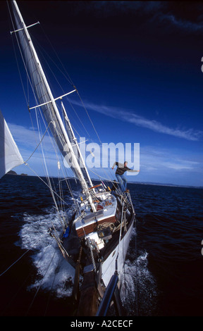 Barca a vela in Nuova Zelanda costa nord. Foto Stock