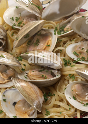 Piatto di vongole Foto Stock