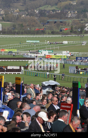 Spettatori a Cheltenham Gold Cup horse racing festival fare il tifo per i corridori e i piloti si avvicinano al traguardo Foto Stock