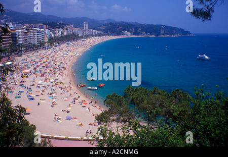 La città e la spiaggia a Lloret de Mar in Costa Brava in Spagna Foto Stock