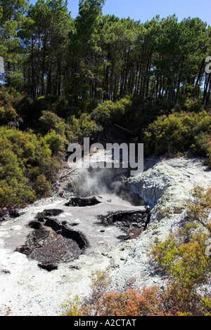 Del diavolo pentole di inchiostro nel Wai-O-Tapu thermal wonderland, Rotorua, Isola del nord, Nuova Zelanda. Foto Stock