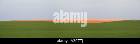 I campi sopra Fulbourn, Cambridgeshire panorama Foto Stock