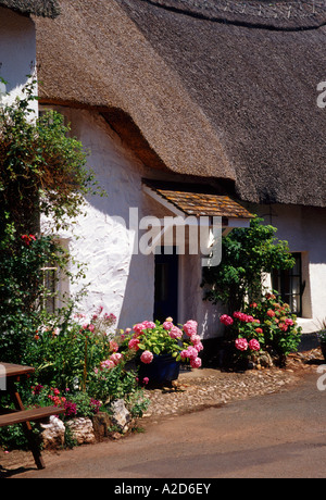 Interno del Villaggio della Speranza. DEVON. In Inghilterra. Regno Unito Foto Stock