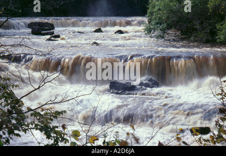 Aysgarth Upper Falls sul Fiume Ure in flood, Wensleydale, Yorkshire Dales National Park, North Yorkshire, Inghilterra, Regno Unito. Foto Stock