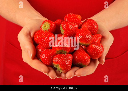 Donna che mantiene le fragole fresche Foto Stock