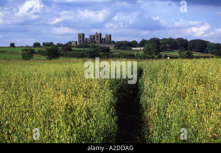 Riber Castle, Matlock, Derbyshire, Inghilterra Foto Stock