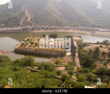 * Il Rajasthan Jaipur India asia novembre guardando in giù sul Lago Maota dal Forte Amber il bufalo d'acqua sono il raffreddamento in acqua Foto Stock