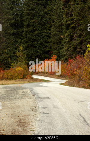Struttura colori ruotando lungo una strada in autunno Foto Stock