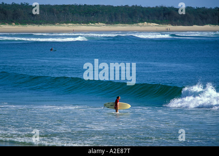 Surfer e shore break a Crescent alla testa di una famosa località di surf vicino a Kempsey sulla mezza costa nord del Nuovo Galles del Sud Australia Foto Stock