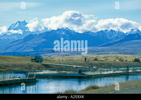 Mt Cook al di là di un allevamento di salmoni sul canale di idro che collega i laghi Tekapo e Pukaki in S West Canterbury, Isola del Sud della Nuova Zelanda Foto Stock