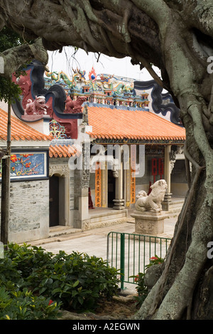 dh Pak Tai Tempio CHEUNG CHAU HONG KONG Banyan albero tempio edificio cinese tao religione taoista cina dao Foto Stock