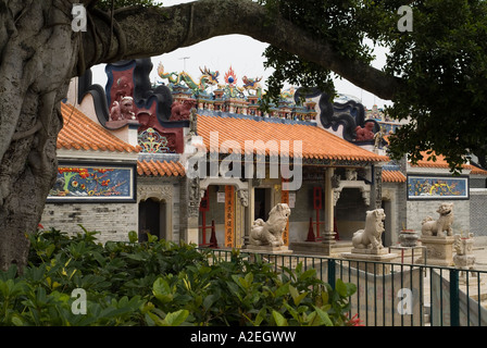 dh Pak Tai Tempio CHEUNG CHAU HONG KONG Banyan albero tempio edificio cinese tao religione taoista cina ficus microcarpa Foto Stock