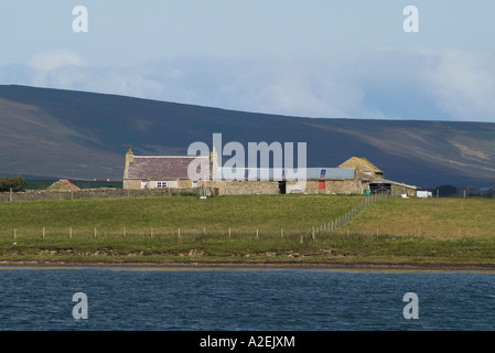 Dh Holm di Grimbister FIRTH ORKNEY fattoria croft casa sulla piccola isola di Riva del Firth Bay Foto Stock