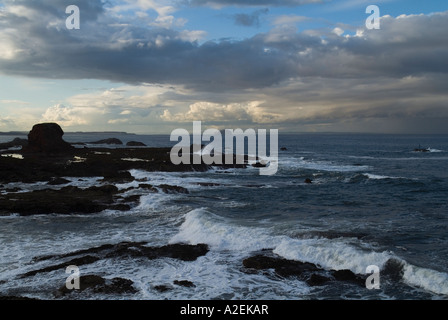 dh Firth of Forth DUNBAR LOTHIAN EAST Scotland Mare del Nord onde di vento tempestose costa e Bass Rock tempesta costiera scozzese che precipita i venti marini Foto Stock