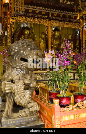 Dh il Monastero Po Lin LANTAU HONG KONG Lion statua del Buddha di guardia santuario Foto Stock