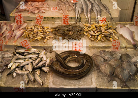 Dh Chun Yeung Street Market North Point HONG KONG Display del piccolo pesce fresco in vendita su lastre di ghiaccio Foto Stock