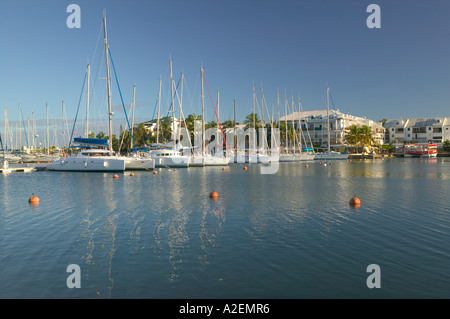 Le Indie occidentali francesi (FWI), Guadalupa, Grande Terre, BAS DU FORT: Marina Bas du Fort, grande marina in Guadalupa Foto Stock