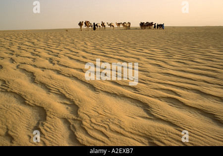 Caravan in grande Sahara Mali Foto Stock